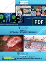 TEORIA 2 Estructura Bacteriana