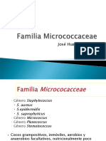 Teoria 5. Cocos