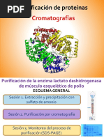 Cromatografia para Purificación de Proteínas