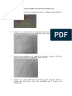 Conceptos Generales Sobre Depositos de Minerales