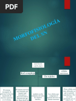 Morfofisiología Del SN