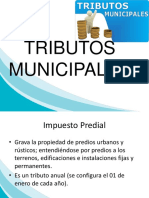 Tributos Municipales