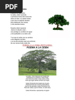 1 Poema A La Ceiba