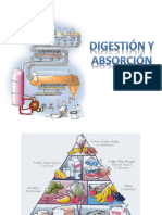 Fisiosistema Clase 8