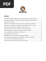 Manuales PDCA