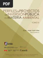 Perfiles de Proyectos Inversion Publica Materia Ambiental