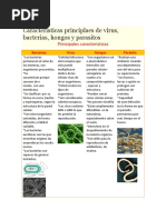 Virus y Bacterias