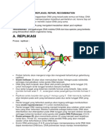 DNA REPLIKASI, Repair, Recombinan