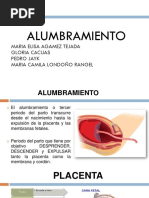 Alumbramiento 2