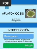 Fibrosis Hepática Aflatoxicosis