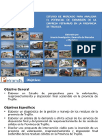 Estudio de Mercado para Analizar El Potencial de Expansión de La Empresa Petramás en La Provincia de Trujillo