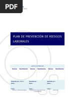 Plan de Prevencion de Riesgos Laborales