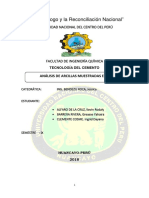 Informe Final de Arcillas