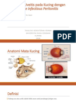 Anterior Uveitis Pada Kucing Dengan Feline Infectious Peritonitis