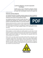 5.2 Sustancias Quimicas Peligrosas y Vias de Incorporacion Final