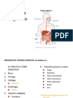 Apa. Digestivo