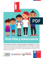 1.4 Ciclo Vital Adolescencia