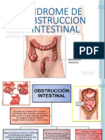 Obstruccion Intestinal