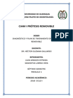 Diagnostico y Plan de Tratamiento en PR