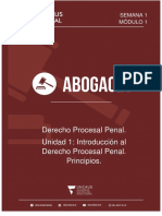 Procesal Penal. Unidad 1. Uncaus