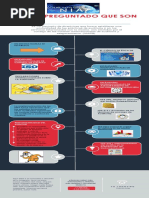 Infografía de Las NIA