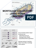 Morfologi Dan Anatomi Jasad Renik Bakteri (Kuliah 2)