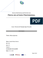 Prova de Aptidão Profissional: Tema