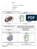 Cells Review Ws Answers