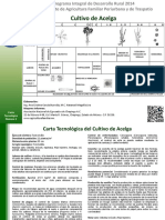 Acelga PDF