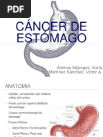 Cáncer de Estómago