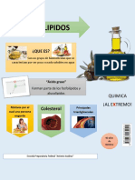 Revista Lipidos