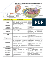 Diferencias y Semajanzas de Celulas Procariotas y Eucariotas