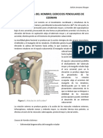 Biomecanica Del Hombro Ejercicios Pendulares de Codman