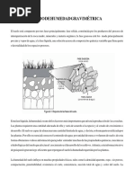 Contenido de Humedad Gravimétrica