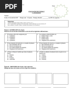 Prueba de Ciencias 3°bascico