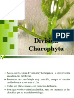 5 Charophyta 2016 PDF