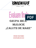 Evaluare Finala Grupa Mijlocie 2016