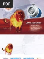 E&M Combustion Presentation English