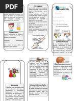 Triptico Charla Apoderados