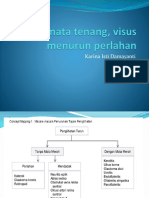 DDX Mata Tenang, Visus Menurun Perlahan