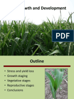 Corn Growth and Development Eugene