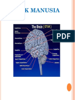 Otak Dan Cara Kerjanya