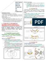 Anatomie 08