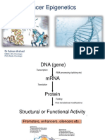 Cancer Epigenetics