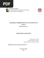 PDF Documento