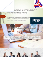 04 - La Actividad Ocupacional Profesional en México