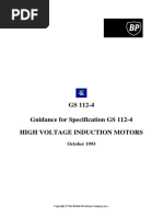 GS 112-4 High Voltage Induction Motors PDF