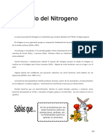 IV Bim - 1er. Año - Bio - Guía 5 - Ciclo Del Nitrogeno