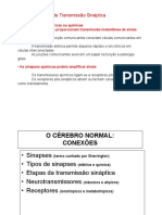 Sinapse Elétrica e Química