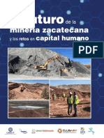 Libro Futuro Minería Completo Baja